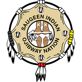 SFN-Logo-Large-270